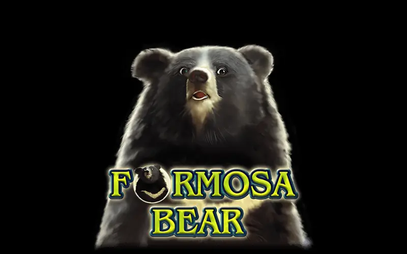 Formosa Bear